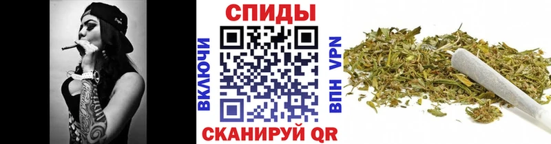 где найти   mega как войти  Бутират бутандиол  Черняховск 