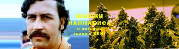 трава Верея
