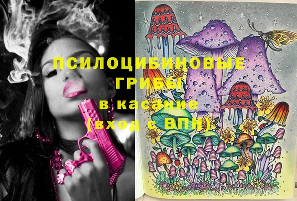 хмурый Верхний Тагил